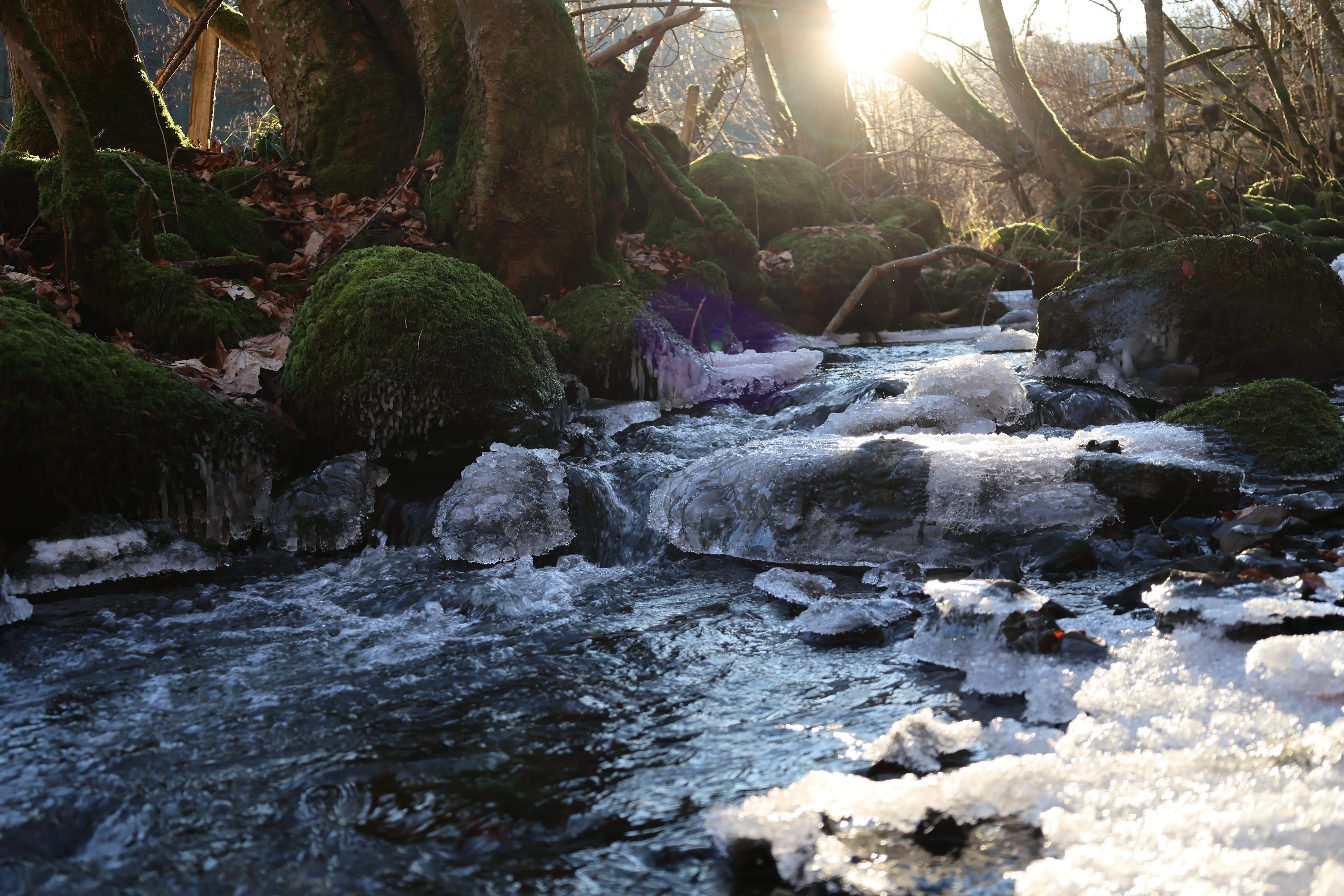 © Steffen Kroggel / Privat / Non-Kommerizell